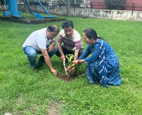 A group of people planting a treeDescription automatically generated