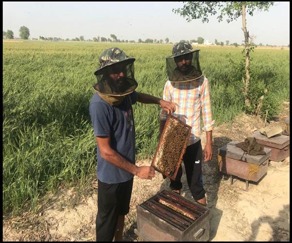 PMFME Scheme Aatmanirbhar Enterprises - HoneyFlo Organics - Ranju Garg ( Bathinda, Punjab)