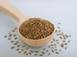 Cumin (Cuminum cyminum): Benefits, Uses, and Growing Tips