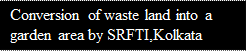 Text Box: Conversion of waste land into a garden area by SRFTI,Kolkata