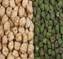 Green chana boosts immunity and brain health