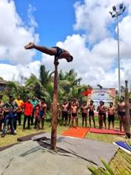 A person jumping off a pole with a group of people watchingAI-generated content may be incorrect.