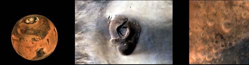 A close up of a seal's noseAI-generated content may be incorrect.