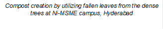 Compost creation by utilizing fallen leaves from the dense trees at Ni-MSME campus, Hyderabad